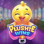 Plushie Wins